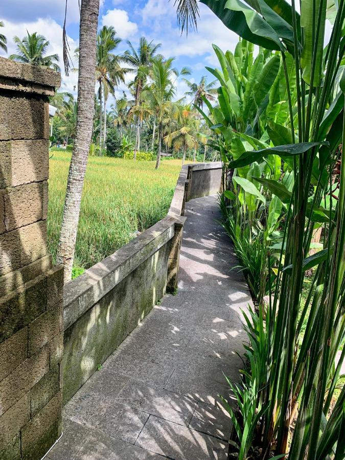 The Banana'S Kumbe Villa Tampaksiring Exterior photo