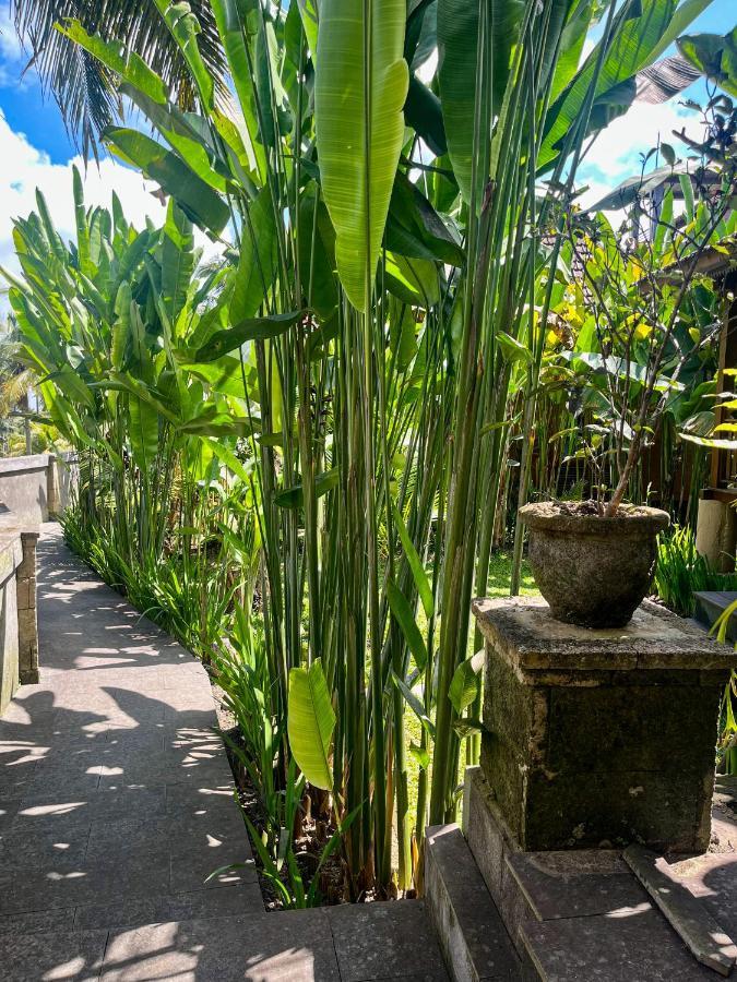 The Banana'S Kumbe Villa Tampaksiring Exterior photo