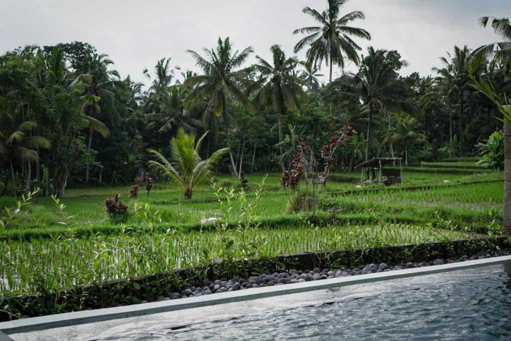 The Banana'S Kumbe Villa Tampaksiring Exterior photo